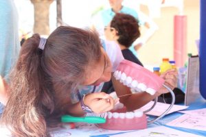 Child practicing teeth cleaning on large plastic teeth